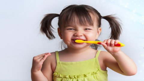 Children's Dental Specialists — photo