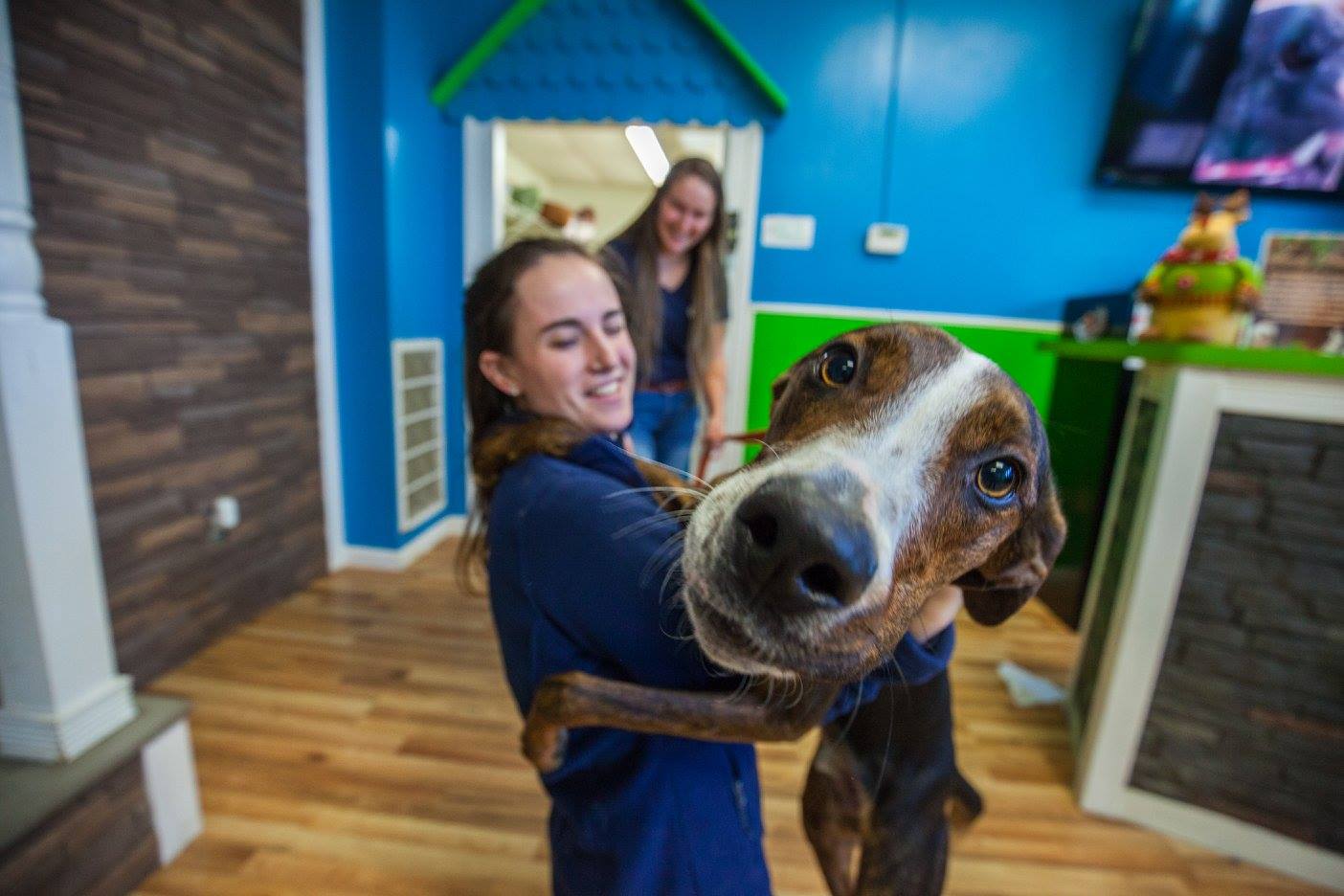Hounds Town Metro Detroit in Troy
