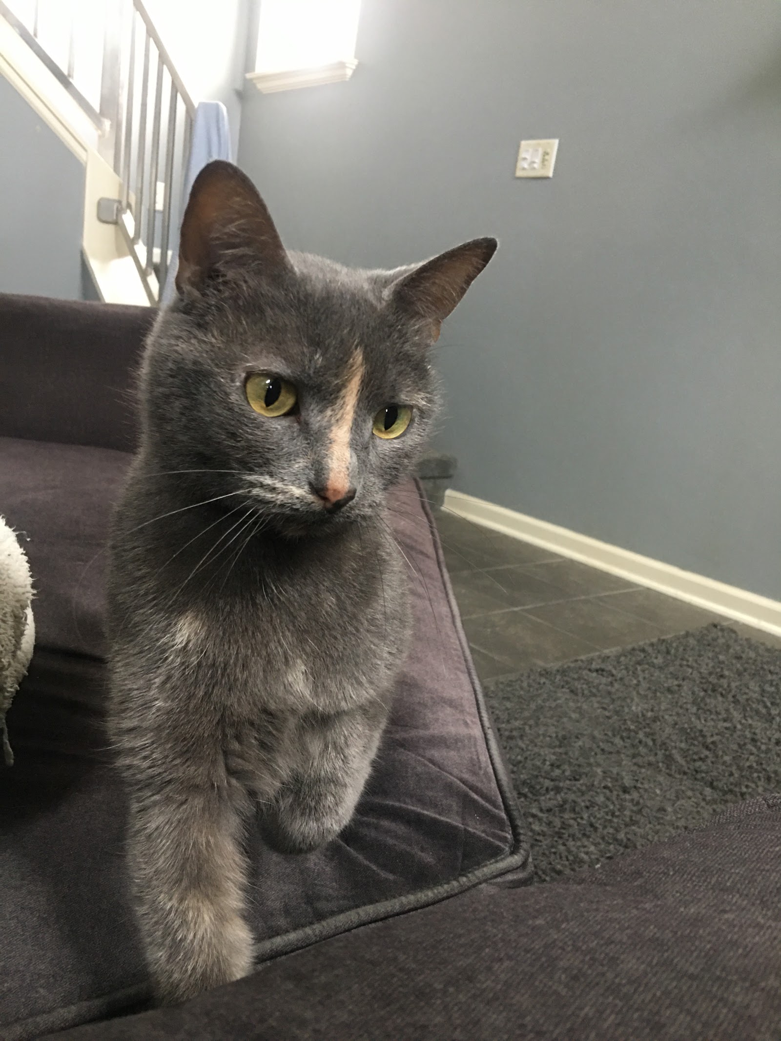 Long Lake Animal Hospital & Lakeside Pet Resort — photo