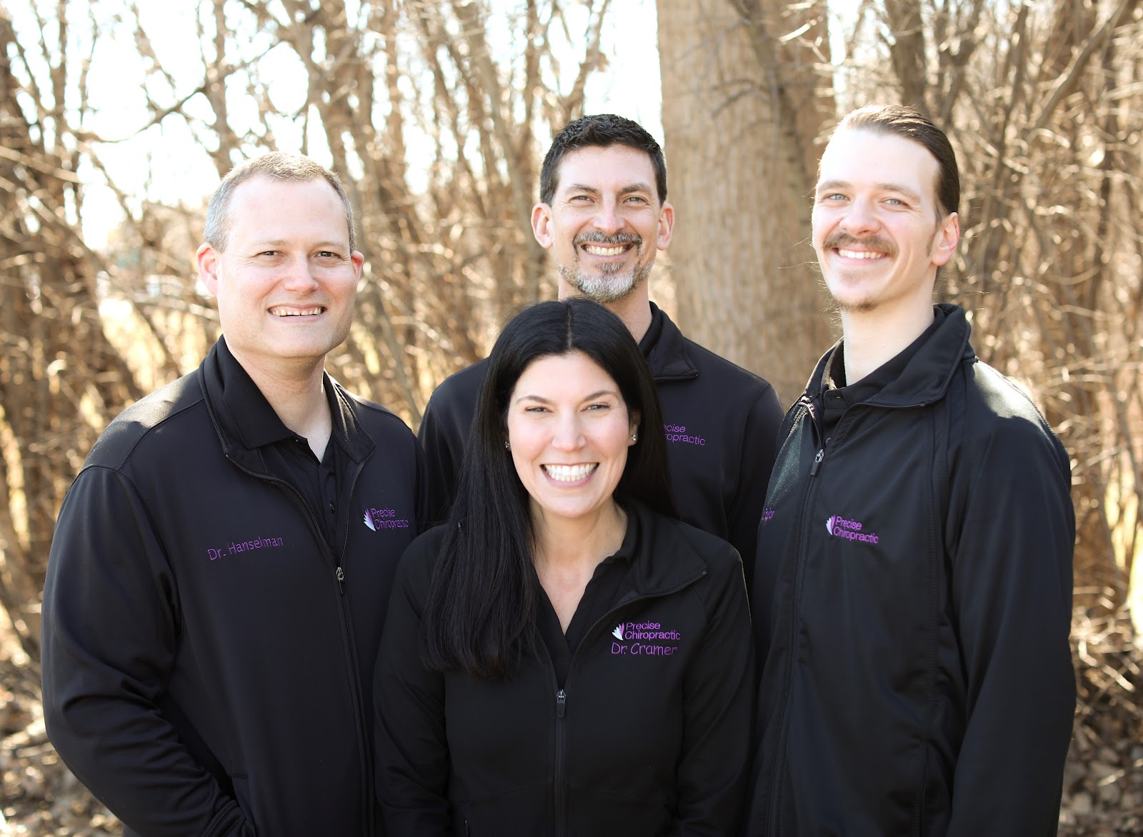 Precise Chiropractic in Troy