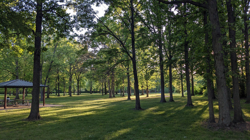 Robinwood Park in Troy