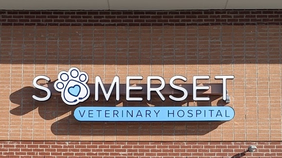 Somerset Veterinary Hospital — photo