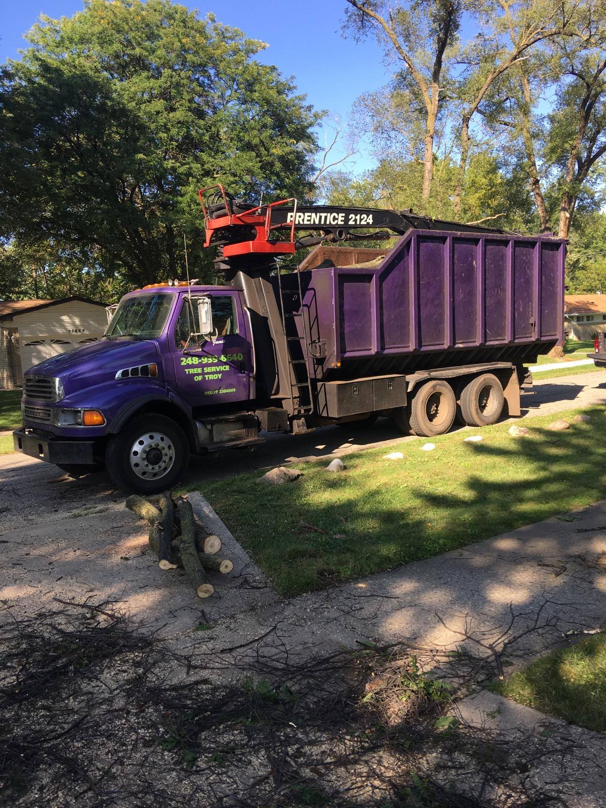 Tree Service of Troy in Troy